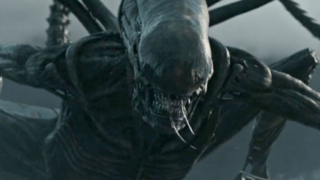 Alien Day celebrato per la prima volta anche in Italia! (Google Immagini)