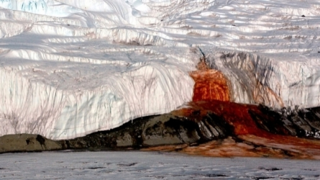 Il mistero delle cascate di sangue in Antartide: la scoperta impone nuove domande