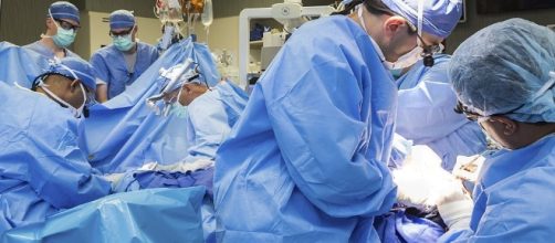 Face transplant recipient hails results after suicide bid | Daily ... - dailymail.co.uk