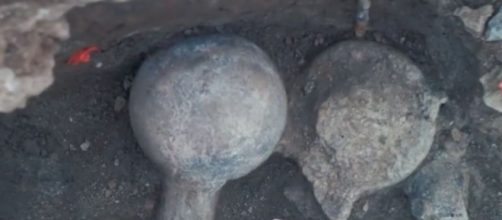 Prehistoric fossils, The Last News Youtube channel, https://www.youtube.com/watch?v=oLYbbDhBnGQ