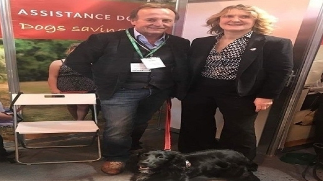 Molly: la cagnetta recupera-gatti