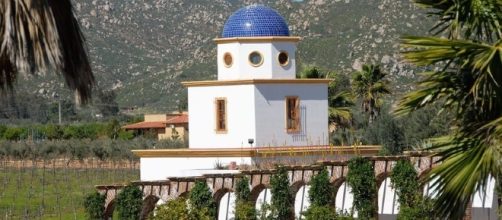One of the many wineries in Valle de Guadalupe (Photo Credit: Boca Roja Wine Adventures)