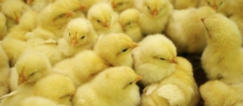 Trabajos bien remunerados con pocos postulantes