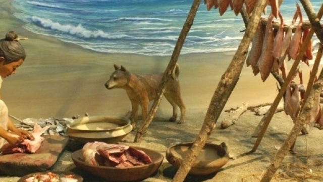 La dieta paleolitica ha un'azione antinfiammatoria e anti grasso viscerale.