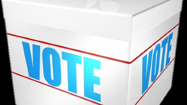 Si vota dalle ore 8 alle ore 20.