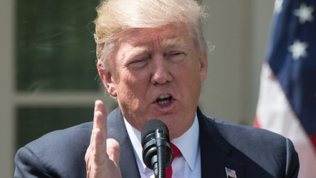 Trump brinda ai suoi cento giorni. Promette il cambiamento dell ... - lanotiziagiornale.it