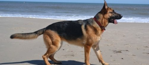 Blog &mdash; Skeleton Keys - jenjdanna.com