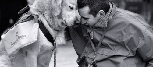 Ca)Nine Reasons Dogs are Truly Man's Best Friend - theodysseyonline.com