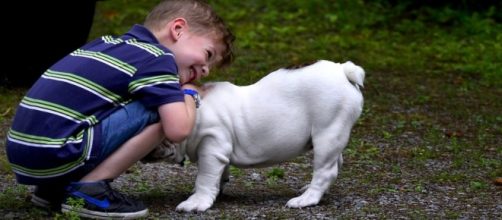 El ni&ntilde;o autista que lee cuentos a perros sin hogar - franquiciastiendasdemascotas.com