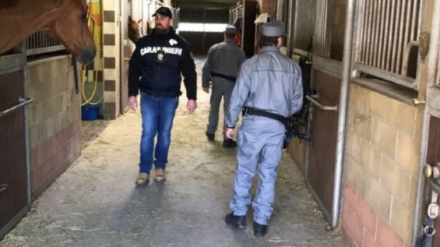 Torino, arrestati titolari del maneggio di Caluso