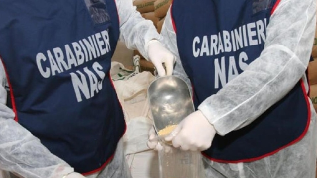 Alessandria, topi ed escrementi tra gli alimenti: denunciato extracomunitario