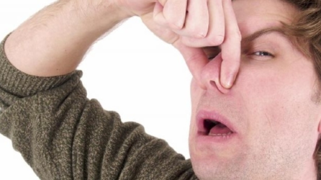 Molestie olfattive, da oggi la puzza di fritto &egrave; reato (Google Immagini)