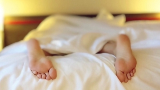 16.000 euro per trascorrere due mesi a letto: non &egrave; un sogno ma una realt&agrave; - Credits: Wokandapix - PD