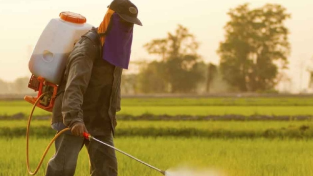 New Studies Reveal Damaging Effects of Glyphosate - mercola.com