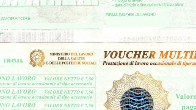 Un esempio dei voucher, rilasciati dal Ministero del Lavoro, Salute e Politiche Sociali.