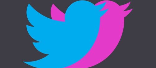 How to Use Affinitweet Valentine's Day Twitter? Is It Safe? - nymag.com