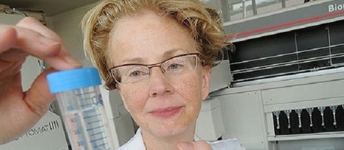 M&eacute;dica americana descobriu uma vacina que cura a diabetes do Tipo 1