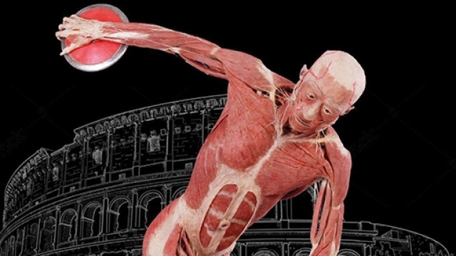 Mostra &lsquo;Real Bodies&rsquo; a Roma fino al 2 luglio 2017