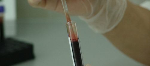 PHOTO CREDIT SOURCE: pixabay.com