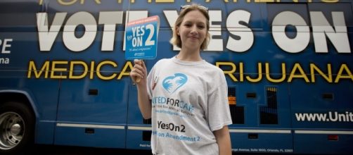 Florida Voters Want Medical Marijuana, Decriminalized Weed ... - rollingstone.com