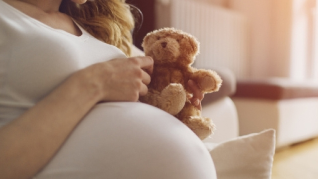 Bonus nido e &ldquo;mamma domani&rdquo;: a chi spettano e le istruzioni per ... - ilsalvagente.it