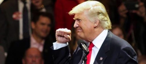 Trump to create panel to study voter fraud, suppression: official - citizenslant.com