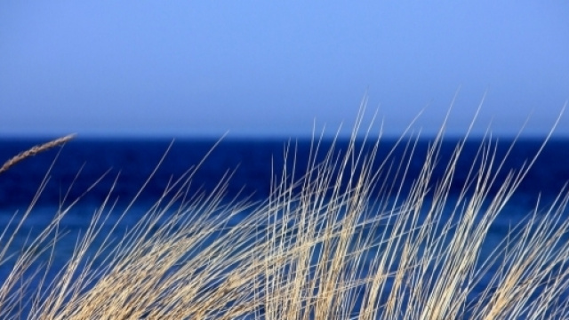 Bandiere Blu 2017, ecco le spiagge pi&ugrave; pulite