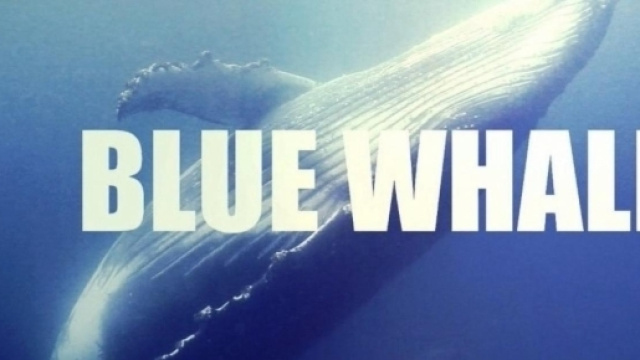 Blue Whale: il tragico gioco che ha causato centinaia di suicidi giovanili