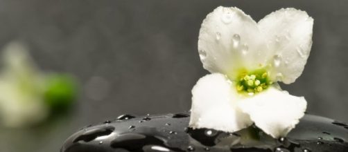 C&oacute;mo es la filosof&iacute;a Zentangle