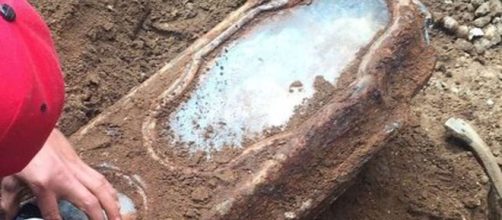 Girl in coffin discovered under San Francisco home identified ... - curbed.com