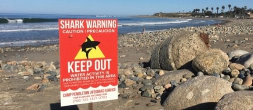 Rescuers recount shark attack at San Onofre State Beach, use surf ... - ocregister.com