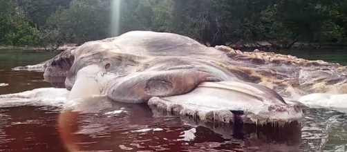 Photo screen capture from YouTube / Patasiwa Kumbang Amalatu