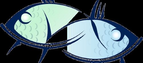 Pisces / Photo sourced via CCO Public Domain Pixabay.com