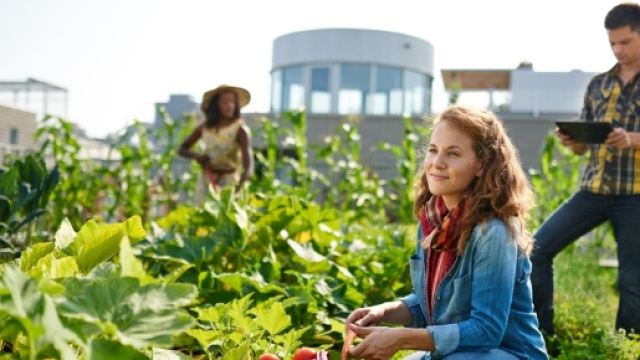 Inps, conferma dopo la Legge di Stabilit&agrave; degli sgravi per imprenditori agricoli
