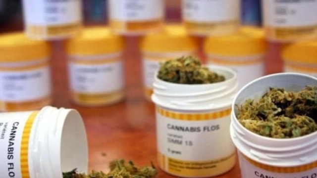 La cannabis farmaceutica ora disponibile nelle Farmacie di Forl&igrave; ... - forlitoday.it