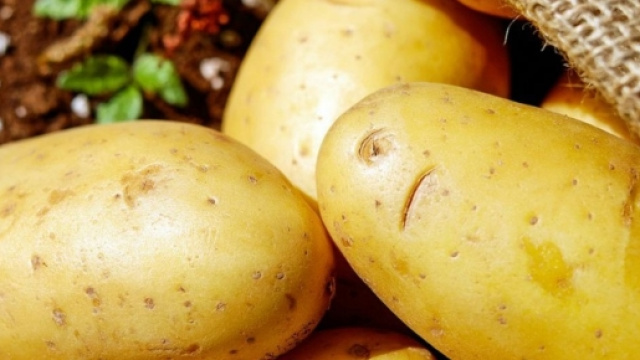 Le patate sono un alimento sano? Propriet&agrave; nutrizionali e suggerimenti dalla ricerca scientifica - supereva.it