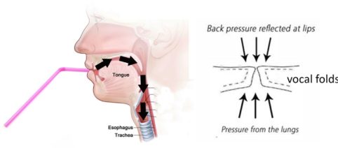 Vocal chords variations (passagio)