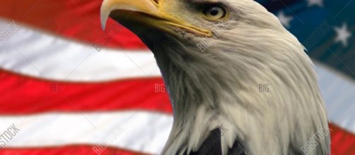 An international bird of prey?