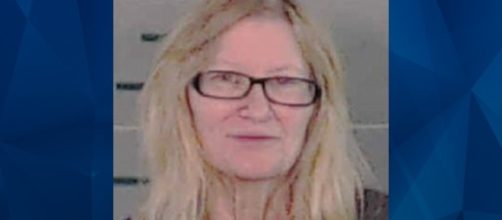 Police: Woman left great-grandson to die in hot car &ndash; Crime Online - crimeonline.com