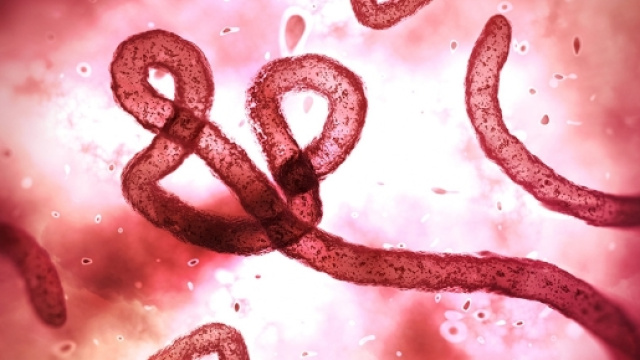 Ebola, paura epidemia in Congo