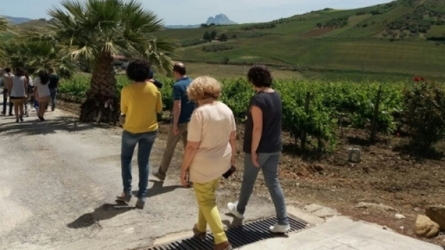 Tour alle Cantine Alessandro di Camporeale.