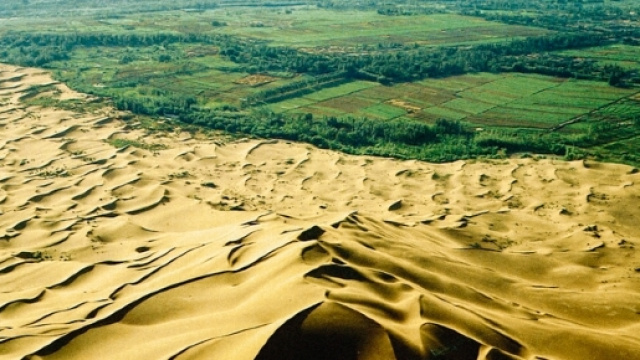 Una grande muraglia verde nel deserto come una nuova terra promessa: &egrave; il progetto di un ingegnere degli Emirati Arabi.