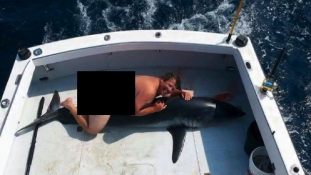 Uomo senza veli su uno squalo morto: lo scatto che turba