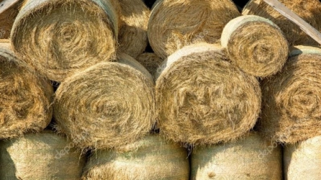 Tuscania, balle di fieno schiacciano agricoltore: addio a Tommaso Trotto