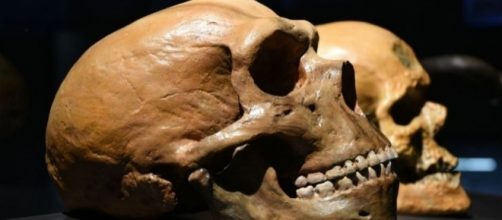 Early Human DNA Found In Soil: Scientists Find New Way To ... - inquisitr.com