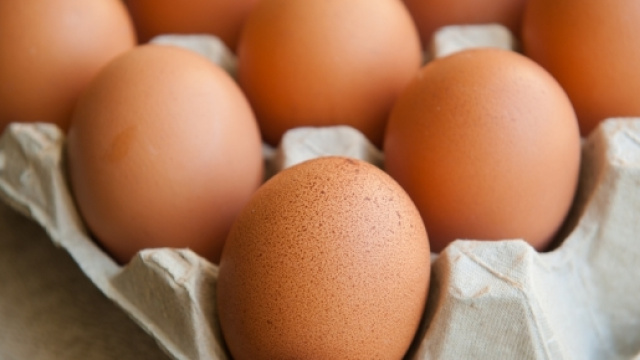 Les prot&eacute;ines : un alli&eacute; contre la graisse - readersdigest.ca