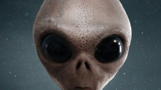 Trump's immigrant crime hotline receives calls about aliens and ... - tintuc24honline.net