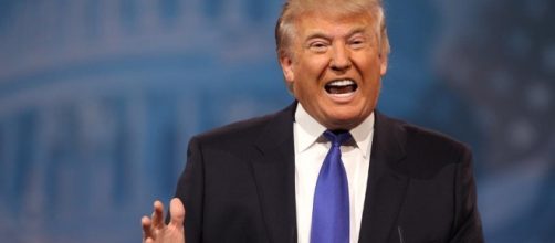 The Grizzly Claw : Kindergarten College - centralhighnews.com