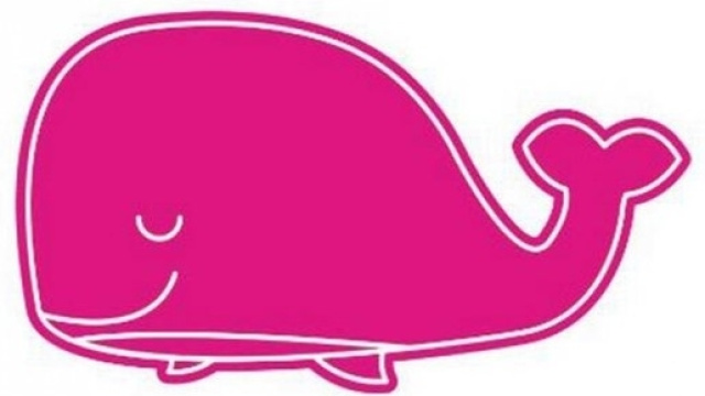 Ecco cosa fare se vediamo una balena rosa sul web - Jornada Online