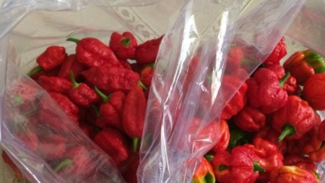 Differenze tra vegetali freschi e congelati